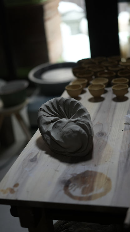 Membership Programme